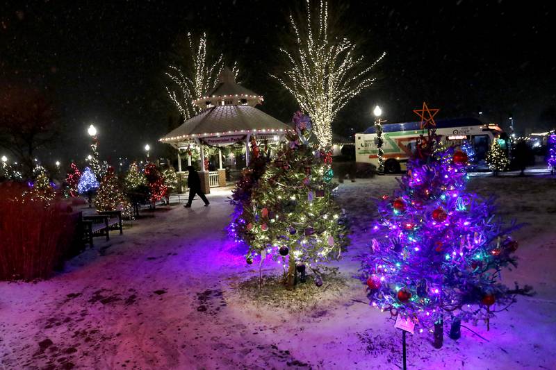 A man walks through the decorated Christmas Trees during Crystal Lake's Luminary Nights on Thursday, Dec. 19, 2024, in downtown Crystal Lake. The snowy night featured sidewalks lite luminaries, holiday shopping and a visit to the Santa House.
