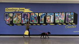 Yorktown Center to host ‘Dog Days of Summer’ series for shoppers and  4-legged friends 