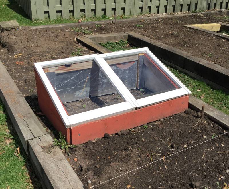 A cold frame is essentially a low box with a clear top that acts exactly like a greenhouse.