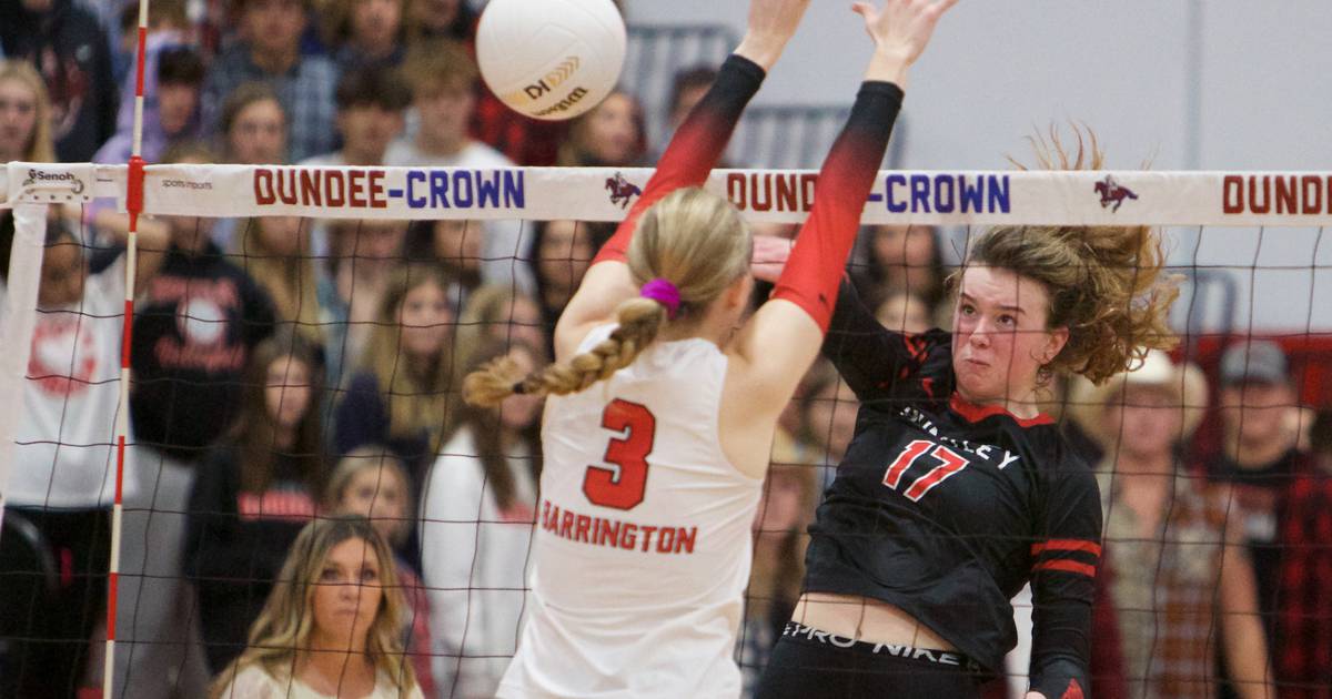 Northwest Herald volleyball preview Five to watch in 2023 Shaw Local