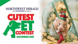December Cutest Pet Contest