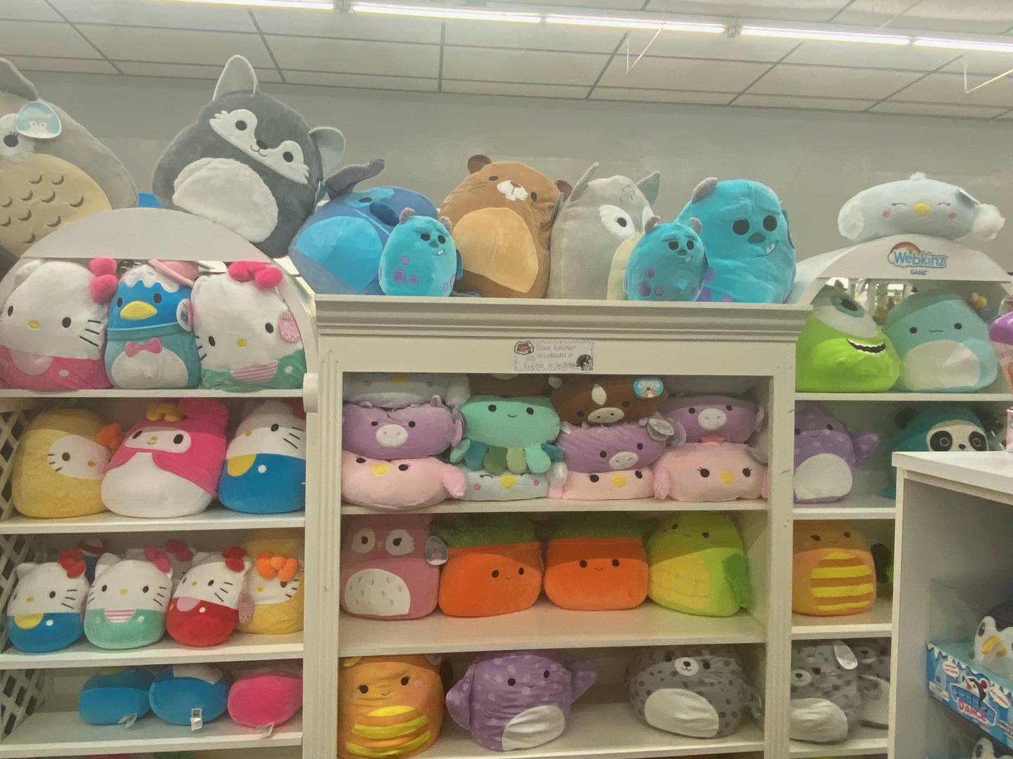 Kerr’s connections has enabled her to keep, even the most popular items on her shelf- such as the pop-culture phenomenon, Squishmallows.