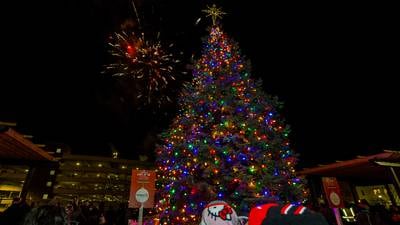 Photos: Joliet's Light Up the Holidays Tree Lighting Ceremony and Parade