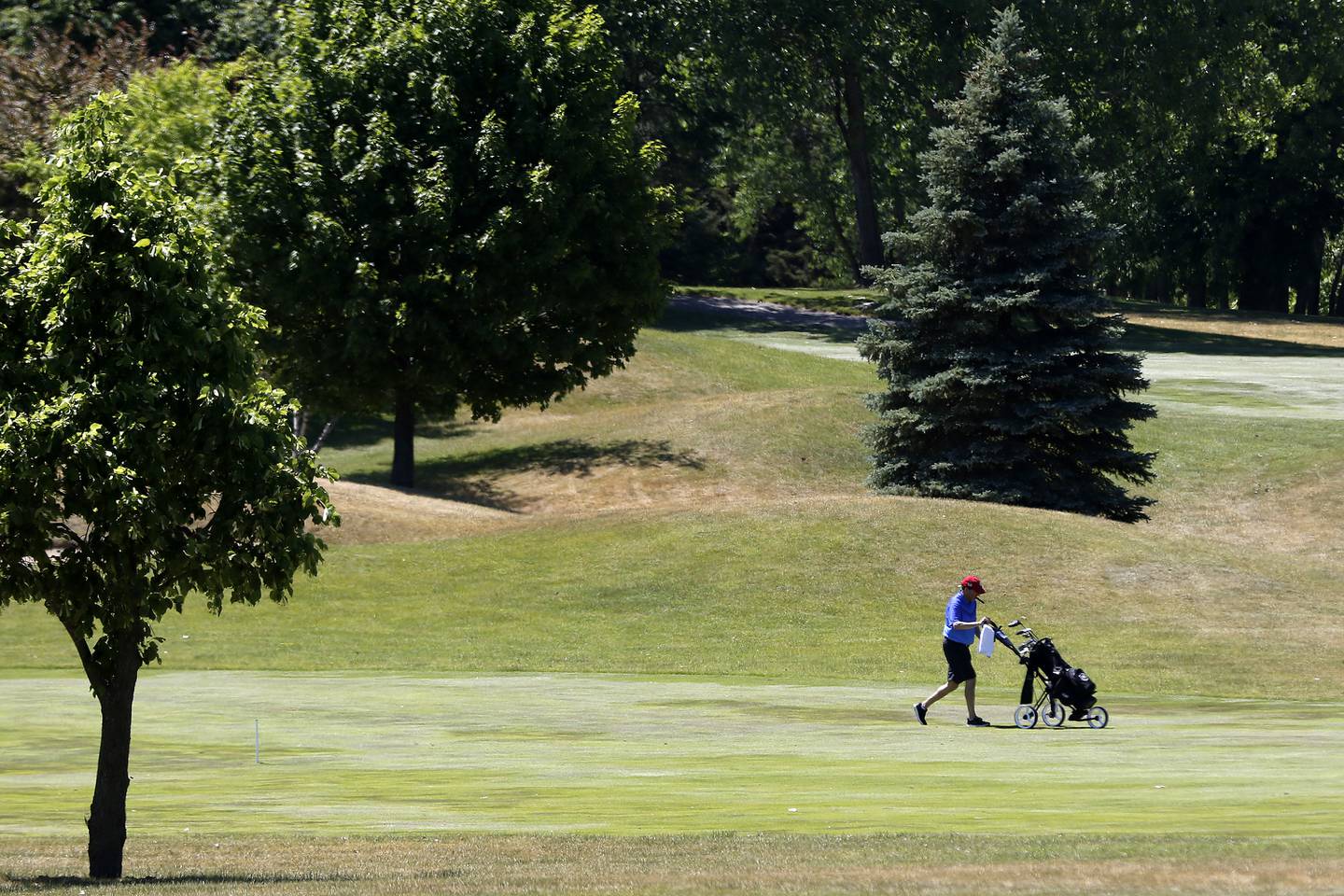 McHenry County golf courses stay busy as pandemic restrictions lift