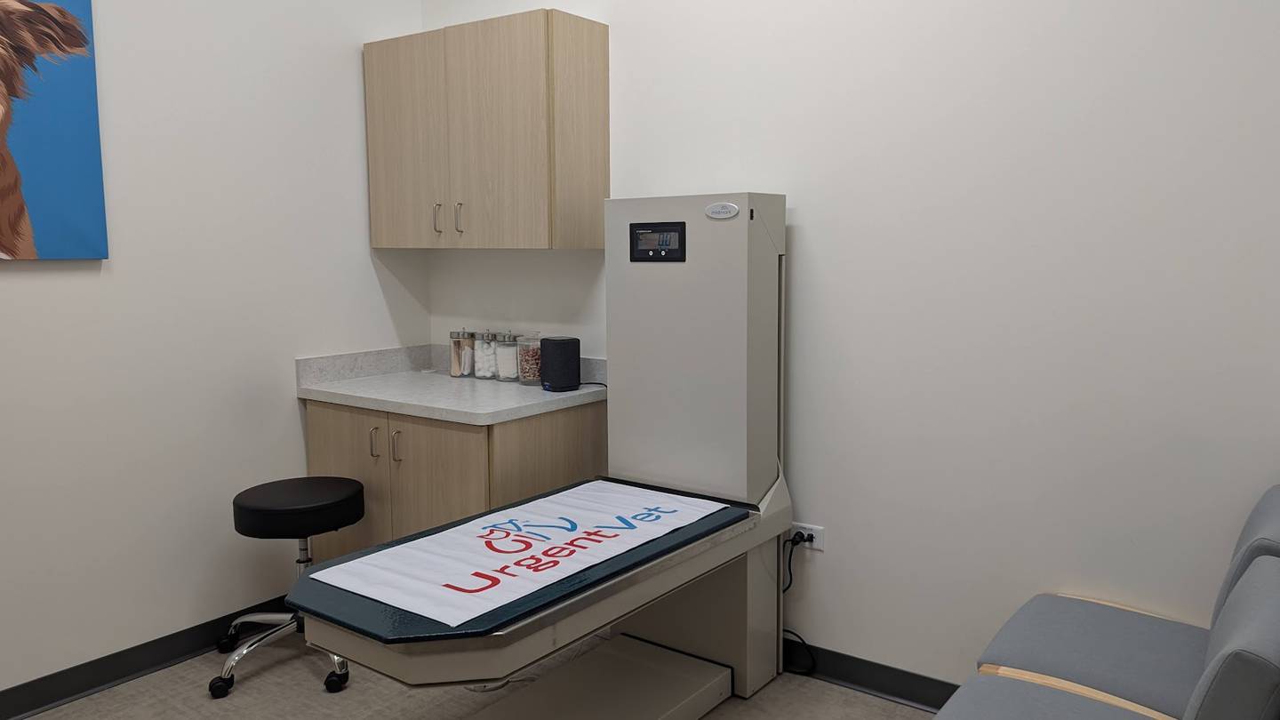 An exam room with a large dog scale is seen at UrgentVet Joliet on Friday, Feb. 7, 2025.