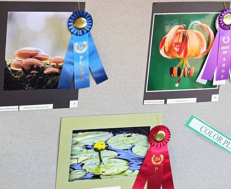 Color Plant

1st      Sari Nienaber of Kalamazoo, Michigan for “Mushrooms Capture the Sky
2nd     Anthony Roma of Gurnee for “Rain on the Pad”
3rd      Carl Stineman of Vernon Hills for “Turk’s Cap Lily”