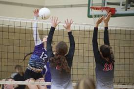 Volleyball: Dixon downs Newman in three sets for third-place finish at Sterling Invite
