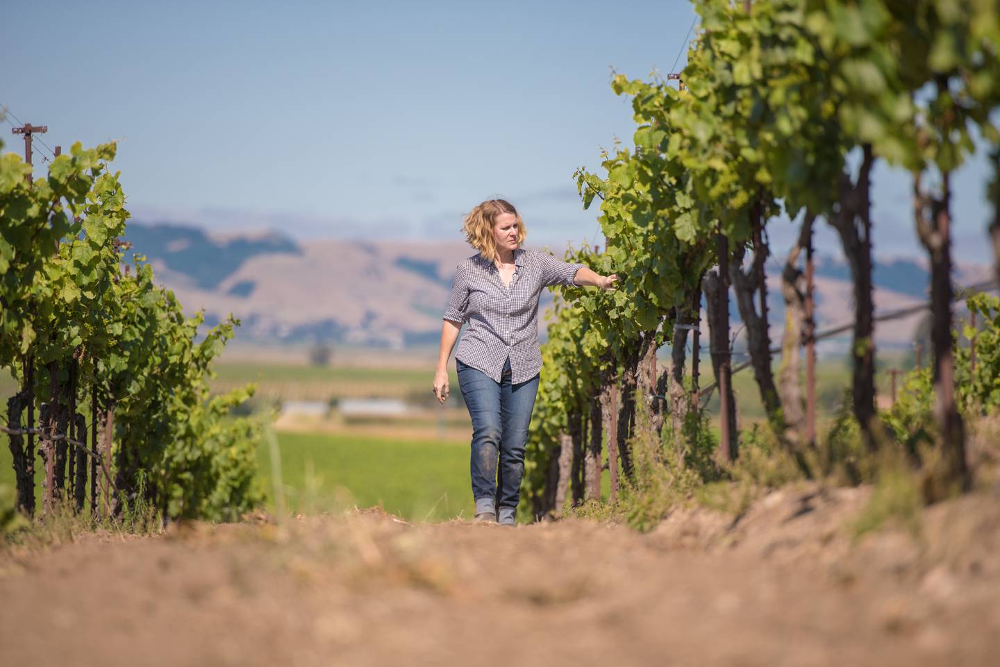 Winemaker Chris Kajani In Vineyard, Bouchaine