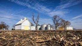 Farm income forecast spotlights challenges