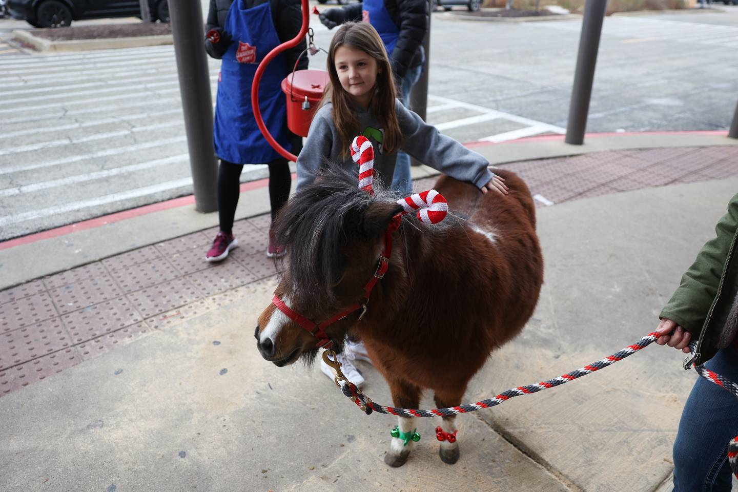 Tyler Archer, 7-years old, pets Indigo, a 15-year old miniature horse. The Will County Trail Riders brought horses as they volunteered for the Salvation Army on Saturday, Dec. 2nd, 2023 at Walmart in New Lenox.