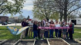 Community garden underway in La Salle, interested gardeners can rent a box for season