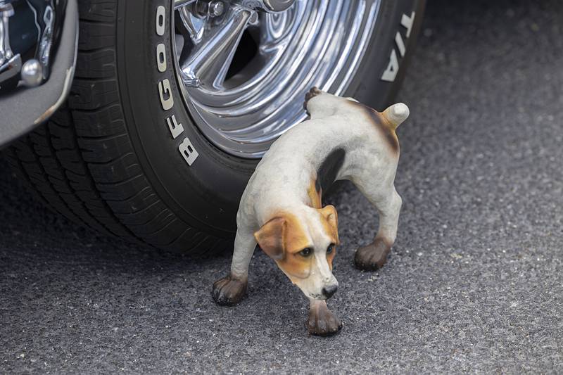 A whimsical dog toy marks his territory on Steve Rosa’s 1955 Chevy Belair Saturday, May 11, 2024 at the Lincoln Highway Car Show in Franklin Grove.