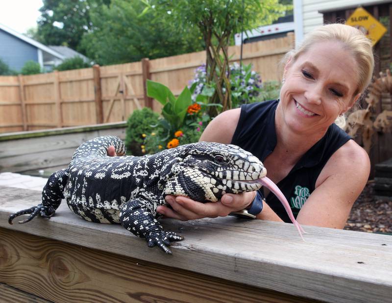 Deb Krohn, naturalist, also known as the FrogLady, looks at her Argentine Tegu named, Chummy, at her home in Grayslake on July 2nd, 2023. Krohn gives reptile and amphibian programs throughout the Chicago metropolitan area and Chummy is one of the lizards featured in her program.
Image by Candace H. Johnson for Shaw Local News Network