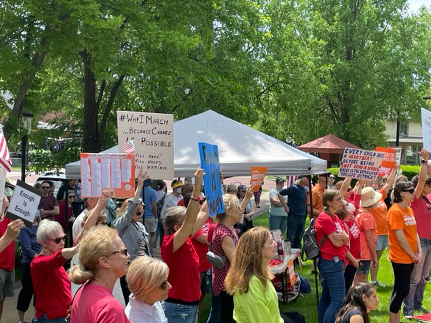 A crowd listens to speakers at a rally against gun violence in Geneva on Saturday.