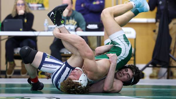 Photos: Class 1A Coal City Sectional, boys wrestling
