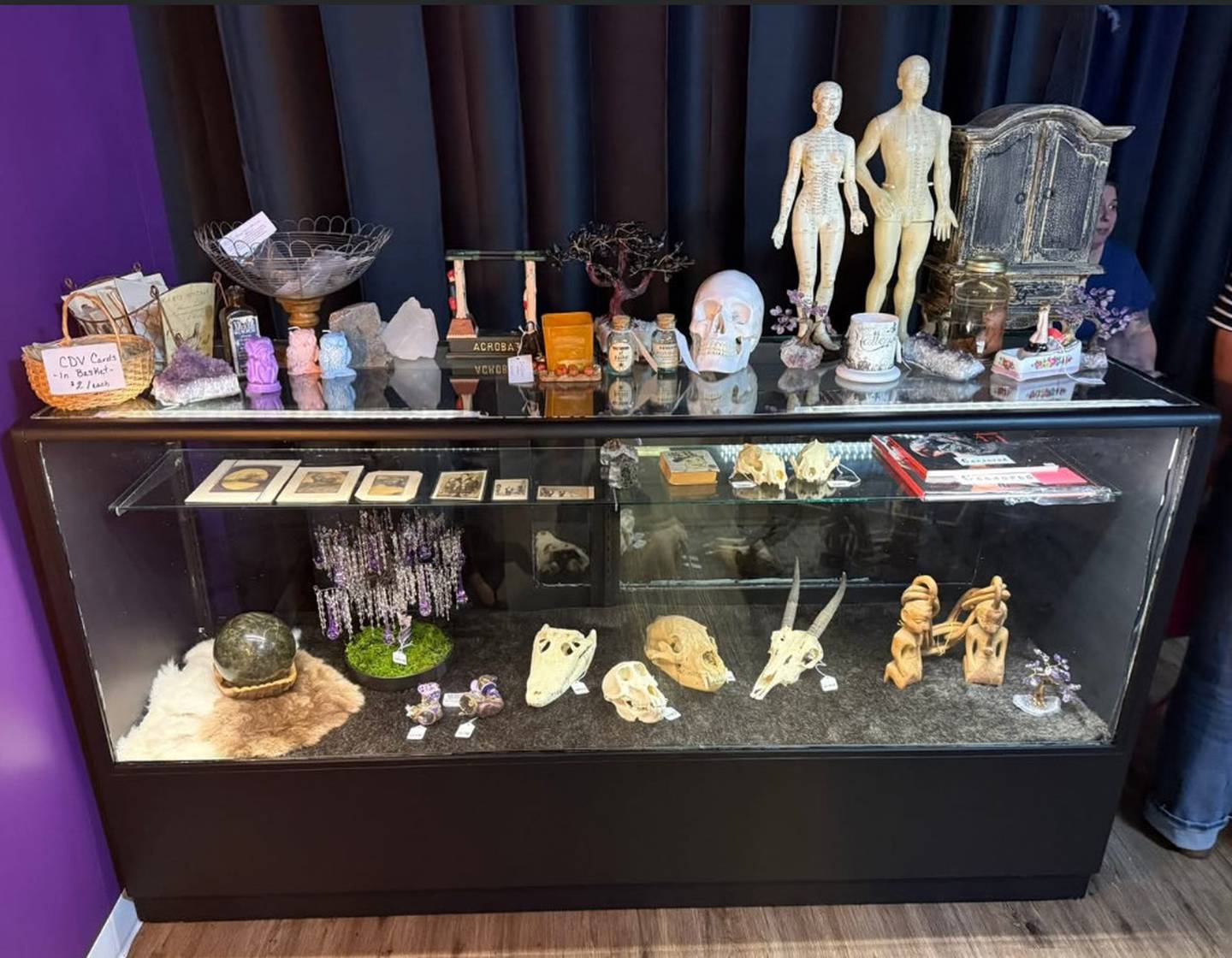 Collectibles from Mr. Willy's Dark Art and Oddities are seen in this undated photo.
