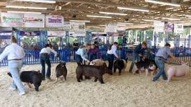 PHOTOS: Fun at the fair in Kendall County