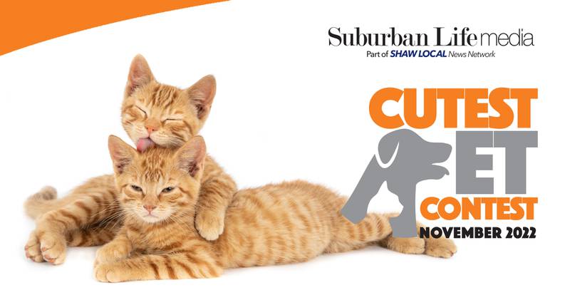 Suburban Life Media Cutest Pet November 2022