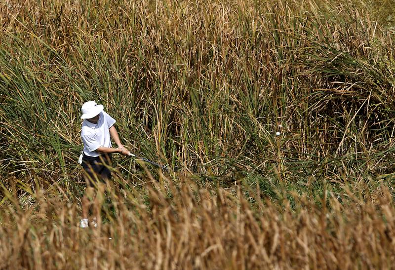 Prairie Ridge’s Mason Zimmerman chips onto the seventh green during the IHSA Class 2A Crystal Lake South Boys Golf Regional on Wednesday, Oct. 1, 2025 at RedTail Golf Club in Lakewood.