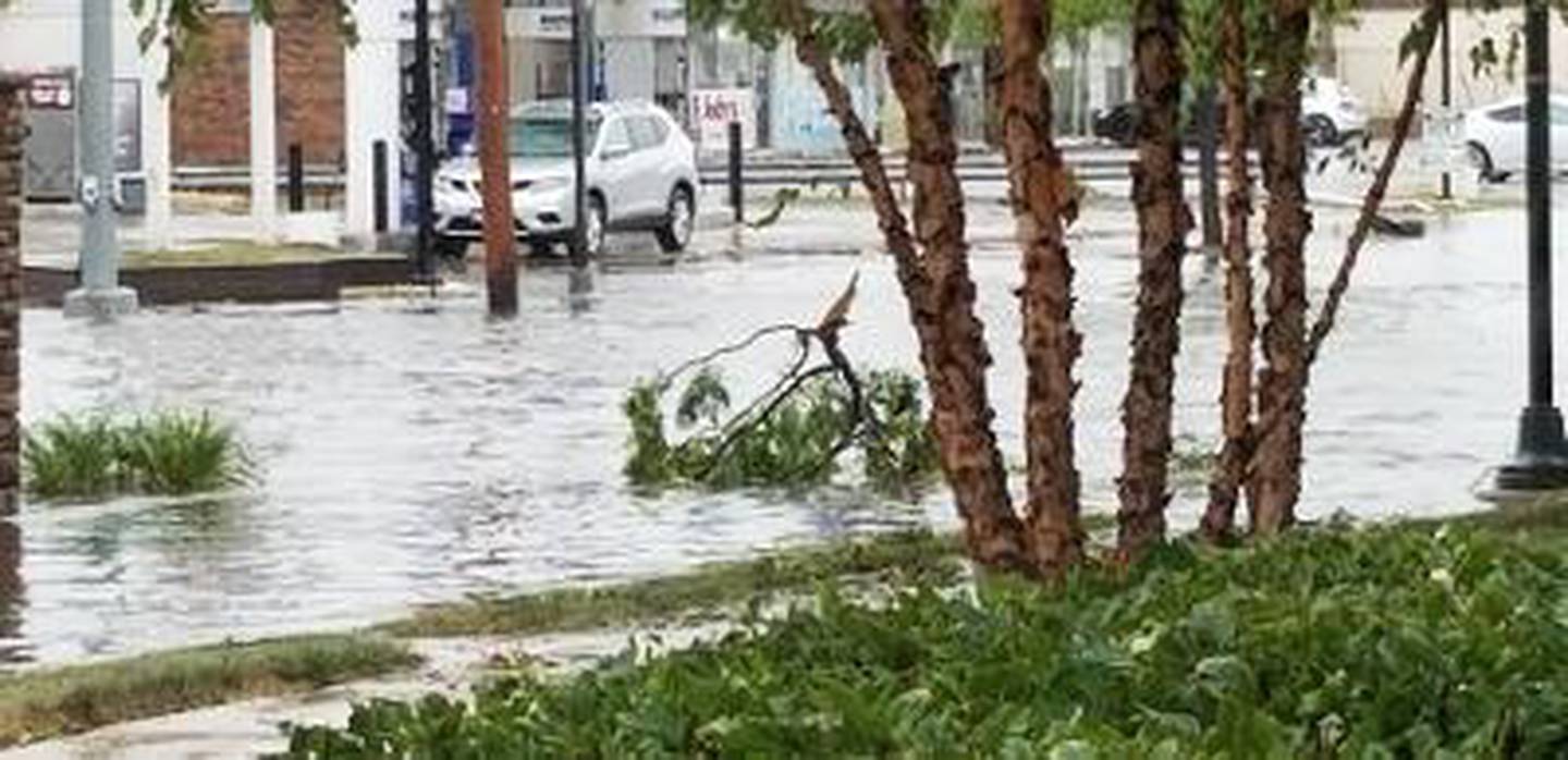 Joliet 2020 derecho
