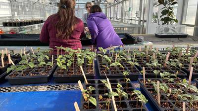 Photos: Preparing for the Great Seed and Soil Event at McHenry County College