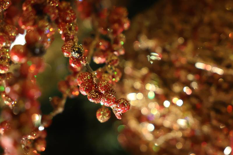 Holiday ornaments hang on the Rialto Christmas Tree, designed by Bella Fiori Flower Shop, at the A Very Rialto Christmas show on Monday, November 21st in Joliet.