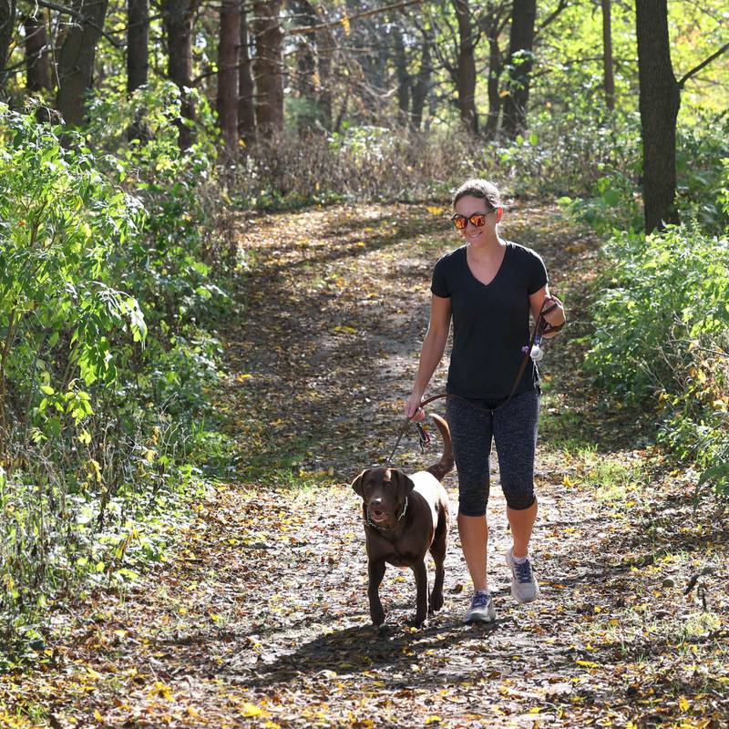 Anne Hannan and her chocolate lab Scout, from Sycamore, take a walk among the colorful trees Tuesday, Oct. 24, 2023, at Merritt Prairie Forest Preserve just south of DeKalb.
