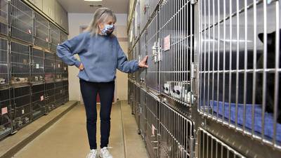 Granny Rose, Happy Tails affected by COVID