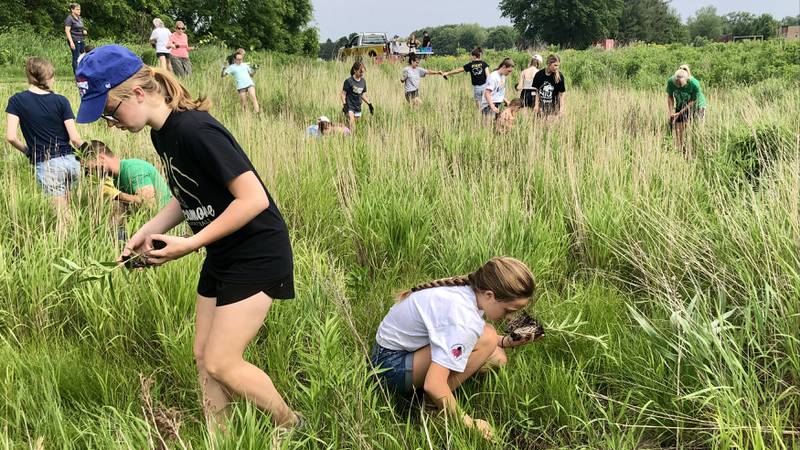 Members of G-Force Club, with local volunteers and members of school staff, planted over 600 plants on the south side of Sycamore middle school grounds to improve water retention Tues. May 31.