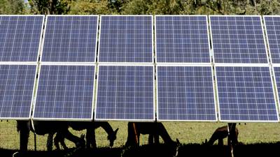 McHenry City Council to send letter to county board opposing solar farm
