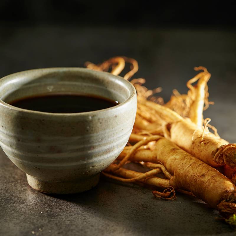 Herbal Oracle - Potential Health Benefits of Siberian Ginseng