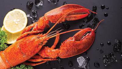 Celebrate National Lobster Day At Port Edward