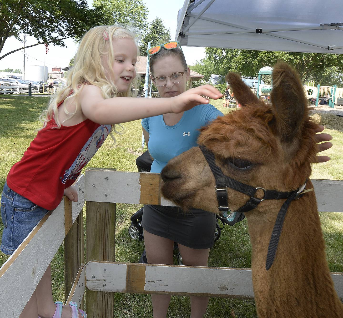Stellla Stohl pets Cocoa, an alpaca, on Wednesday, July 5, 2023, while her mom Casey looks on during Grand Ridge Park for A Day On The Farm, an Ottawa Recreation program.
