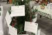 23 Adopt-a-Senior cards left at Morris Public Library