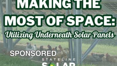 Making the Most of Space: Utilizing Underneath Solar Panels