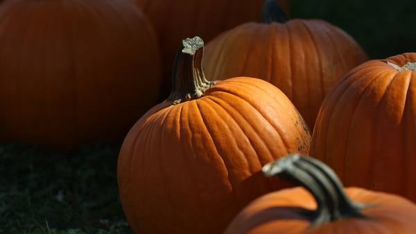Hallway Halloween, chili and hot dog supper is Oct. 25 in Byron