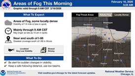 Areas of dense fog across northern Illinois Monday