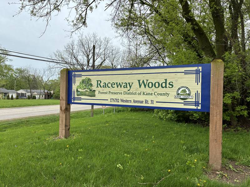 Gender, approximate age of skeletal remains determined after bones found in Kane County preserve