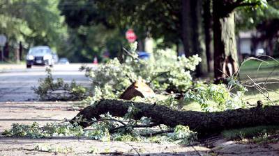 Kane County launches new emergency alert system. Here’s how to sign up