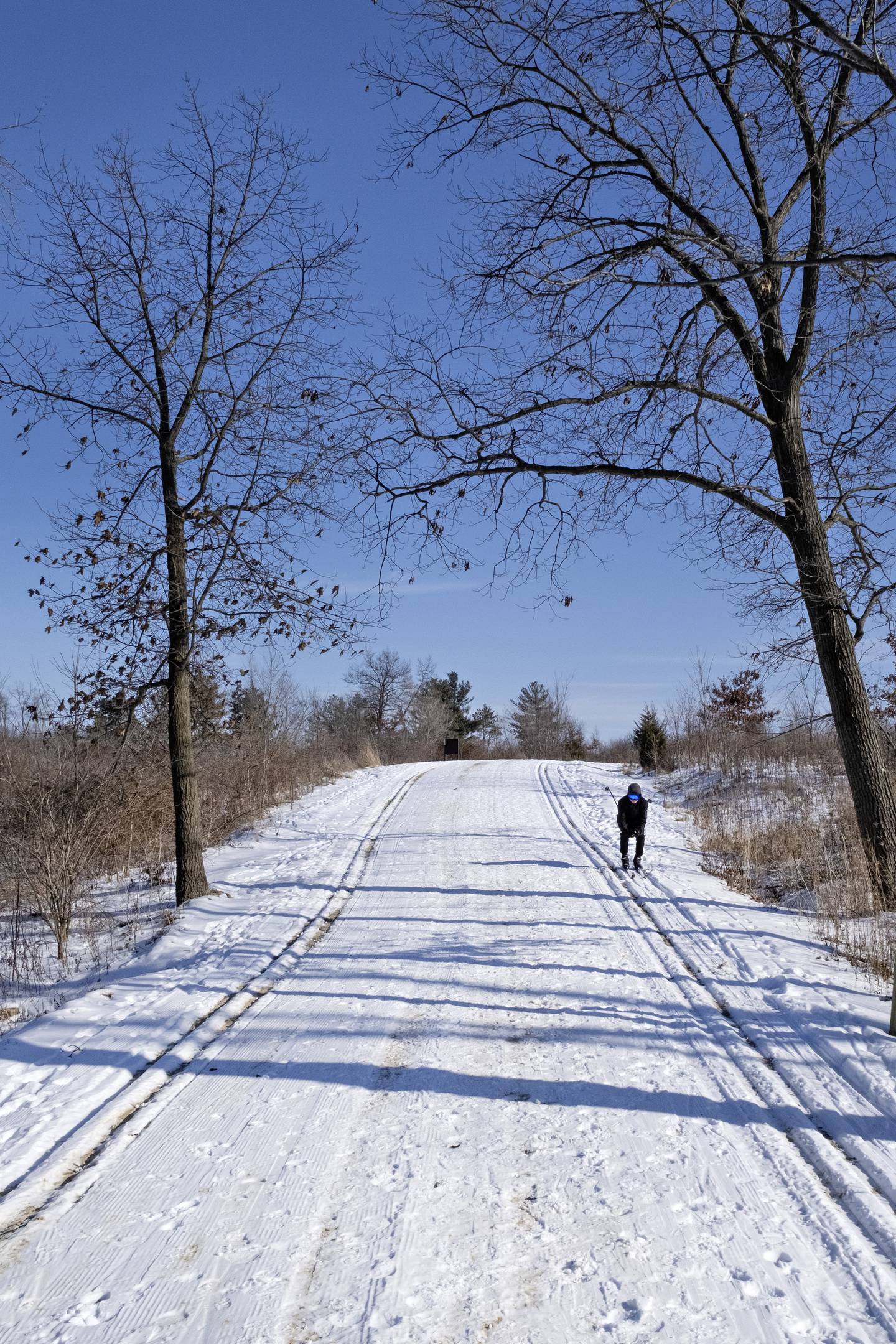 Looking for a winter workout? The forest preserves have plenty of cross-country skiing options, including scenic routes at Lakewood in Wauconda.