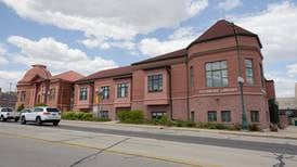 Sycamore library used book sale is this weekend