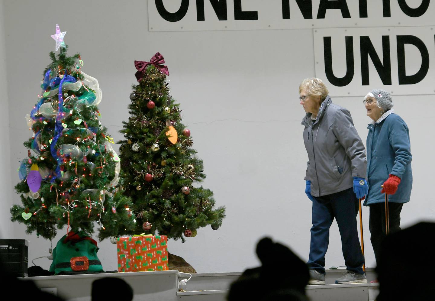 Mt. Morris residents Salley Wessels and Carol Reckmeyer look over some of the decorated Christmas trees during the voting period at the Festival of Lights in Mt. Morris on Dec.3. The evening event included free food, a lighted parade, caolers, and Santa Claus.