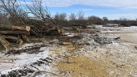 Midewin Prairie restoration halted due to federal funding freeze  