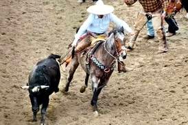 Northern Illinois counties struggle to regulate Mexican-style rodeos, steer-tailing events in their area