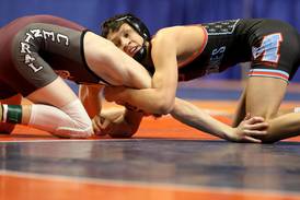 Photos: IHSA state wrestling semifinals