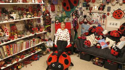 Ladybug Lady uses prestige of Guinness World Record collection to support domestic violence shelter