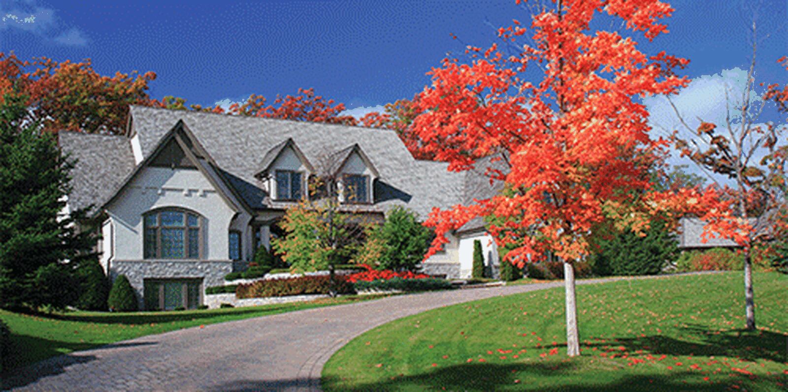 RE/MAX Top Properties under new management – Shaw Local