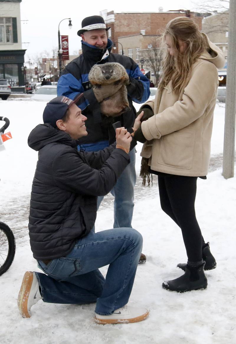 Nathan Lee purposes to his girlfriend, Nellie Weiss, of McHenry, in front of Woodstock Willie and his handler Mark Szafarn Wednesday, Feb, 2, 2022, during the annual Groundhog Day Prognostication on the Woodstock Square.