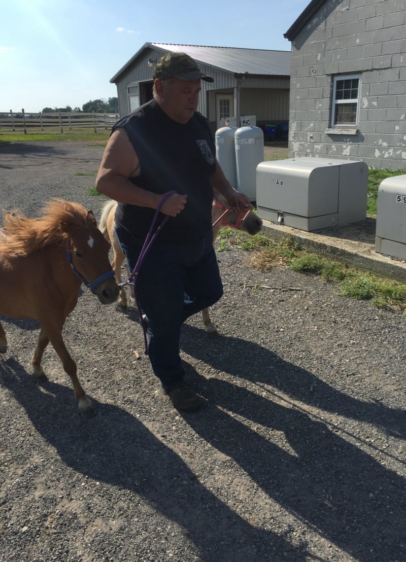 Nick LaLuna is working with horses at his family's LaLuna Farms boarding facility.