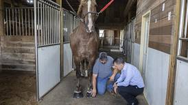 Senator Stoller visits Prophetstown horse farm